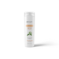 Aura Botanica Nettle Shampoo